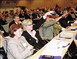 aanestys.jpg (24600 bytes)